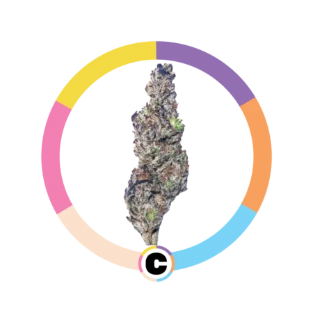 Grape Soda | 3.5g