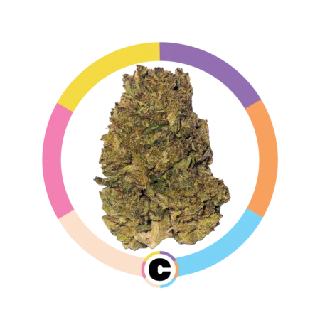 Modified Grapes | 14g