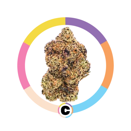 Rainbow Runtz | 14g