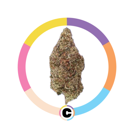 Cherry Zlushie | 14g