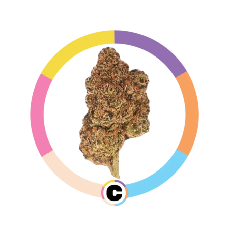 Super Runtz | 14g