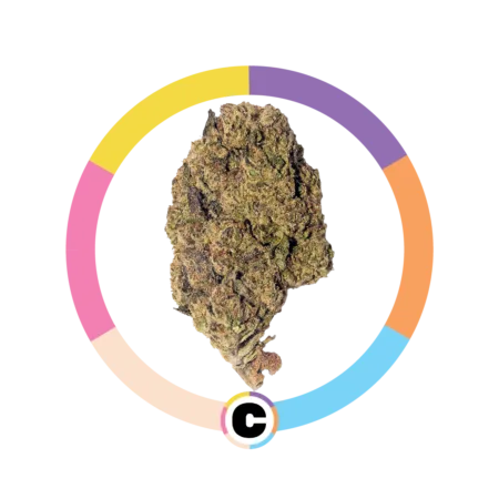 Gelato Wedding Cake | 14g