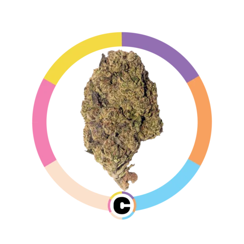 Gelato Wedding Cake | 3.5g