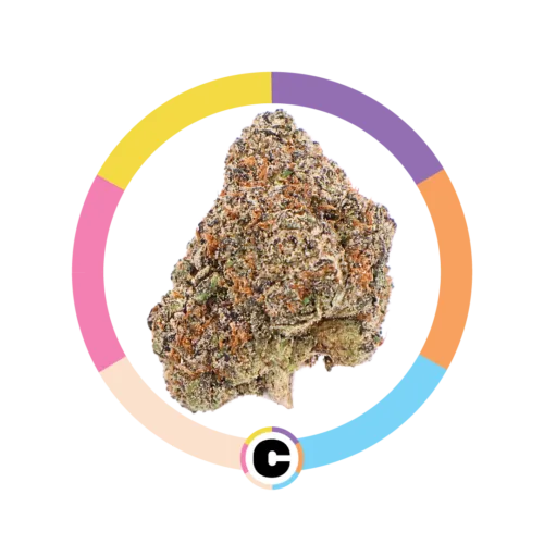 Cherry French Toast | 14g