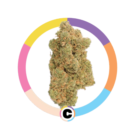 Blue Dream | 3.5g