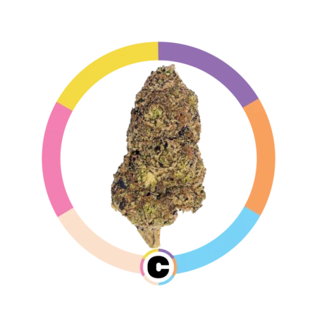 Juicy Fruit | 14g