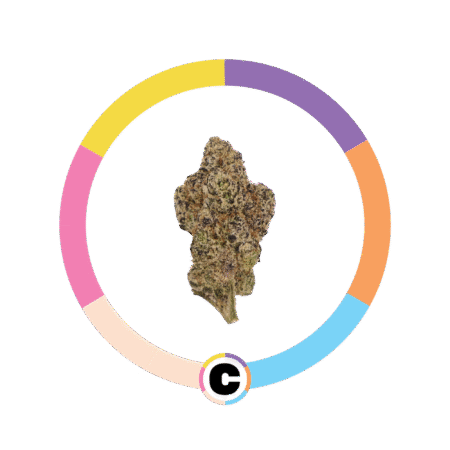 Dank SInatra | 14g