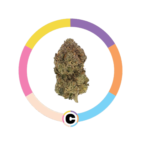 Laffy Taffy | 14g