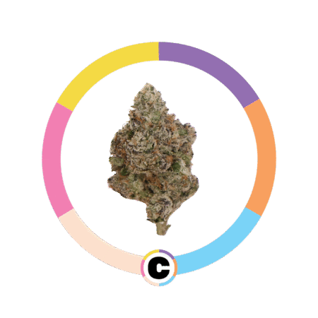 Lemon Cherry Zkittlez | 14g