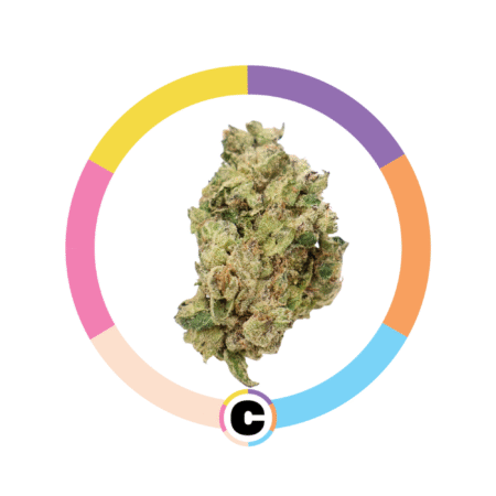 White Runtz | 14g