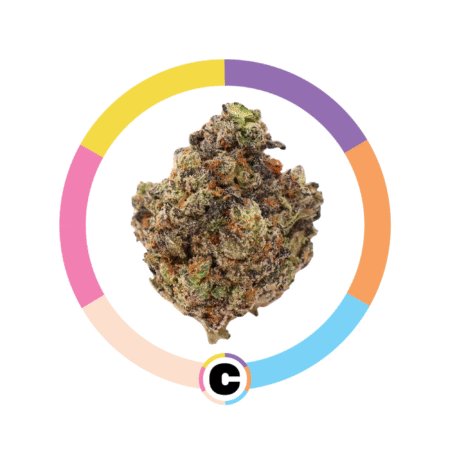 Zooties | 14g