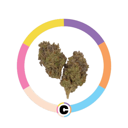 Zoap | 3.5g